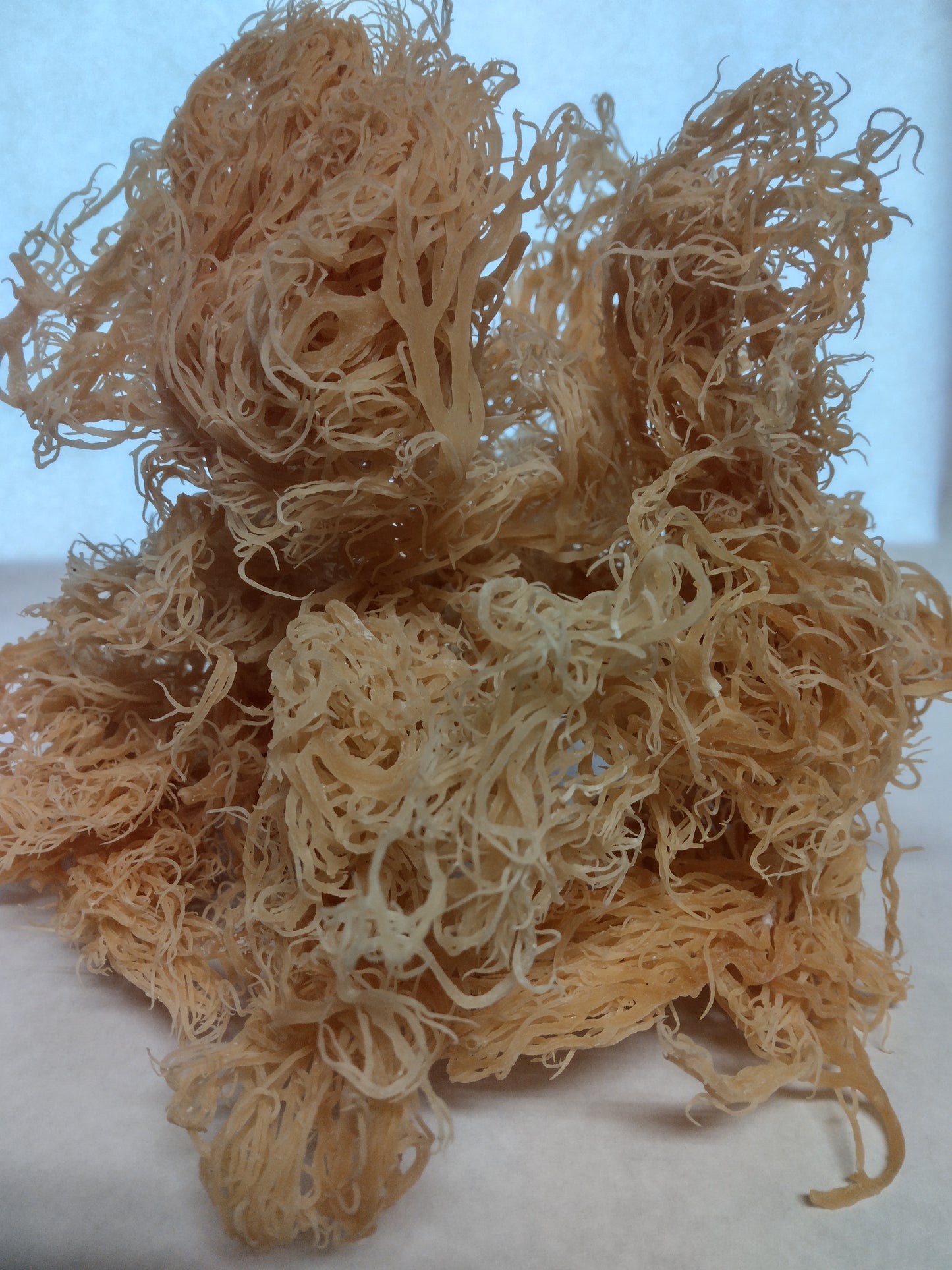 St. Lucian Gold Sea Moss - (High Quality)